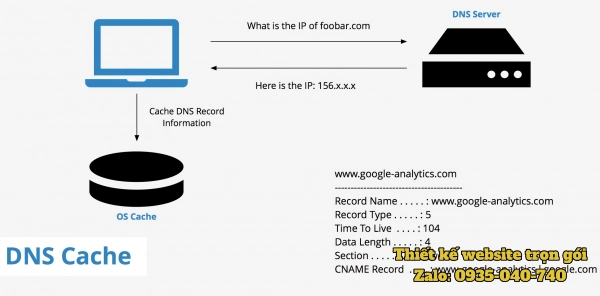 DNS Cache 