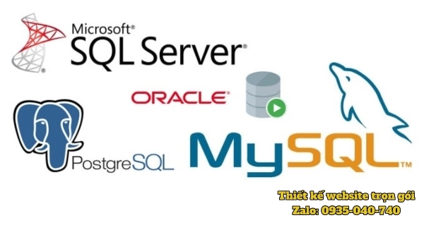 Hình ảnh logo các hệ quản trị MySQL, SQL Server, Oracle, PostgreSQL