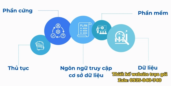 Hình ảnh mô tả các thành phần chính của cơ sở dữ liệu