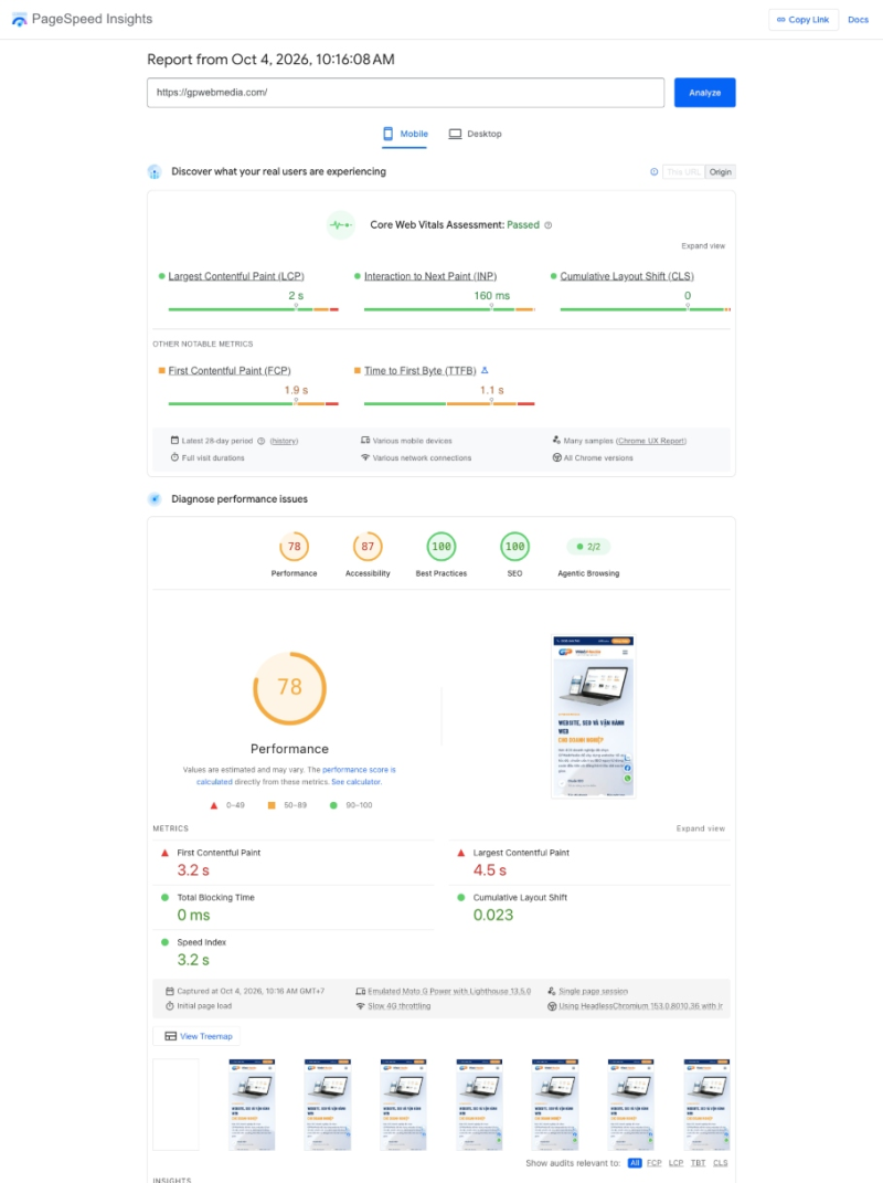 Kết quả Google PageSpeed Insights gồm phần dữ liệu người dùng thực tế Core Web Vitals và phần điểm Lighthouse bên dưới