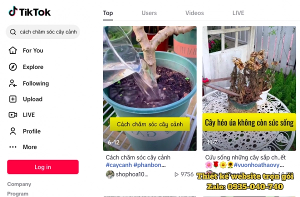 video chăm sóc cây cảnh trên tiktok