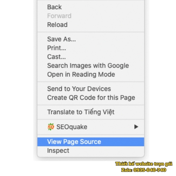 View Page Source