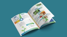 Catalogue là gì? Tìm hiểu vai trò và cách thiết kế catalogue chuyên nghiệp