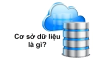 Cơ sở dữ liệu là gì? Kiến thức cơ bản cho người mới bắt đầu