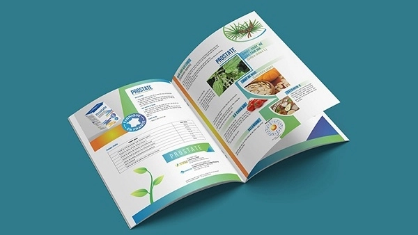 Catalogue là gì? Tìm hiểu vai trò và cách thiết kế catalogue chuyên nghiệp