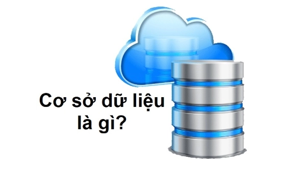 Cơ sở dữ liệu là gì? Kiến thức cơ bản cho người mới bắt đầu